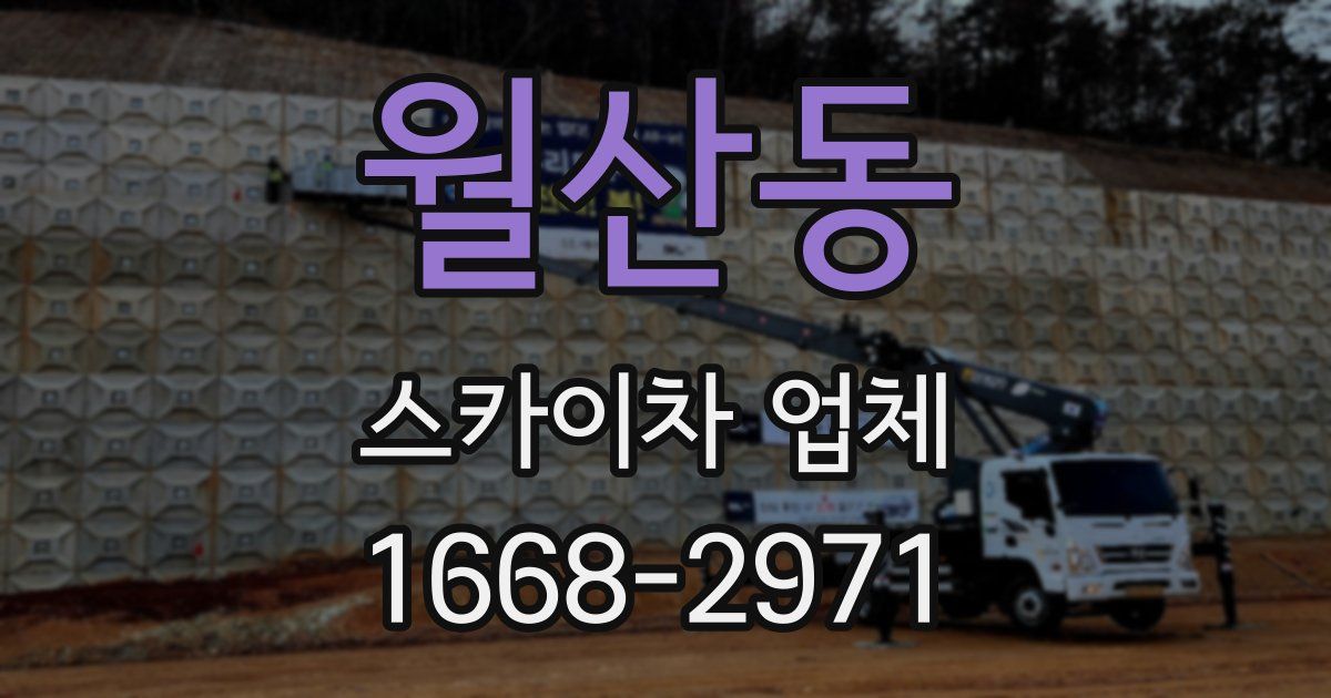 월산동 스카이차 업체