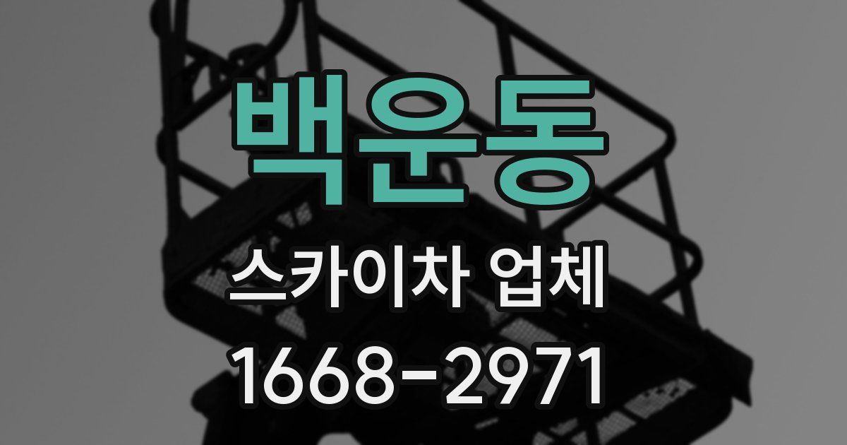 백운동 스카이차 업체