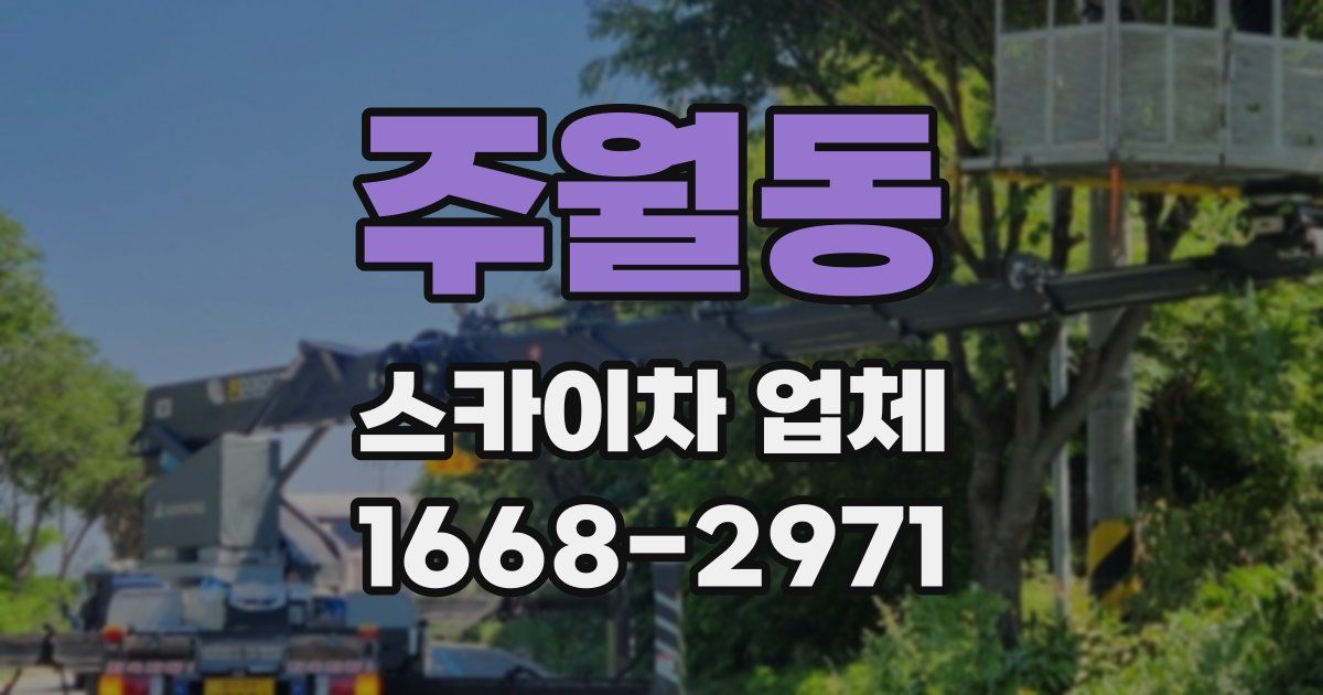 주월동 스카이차 업체