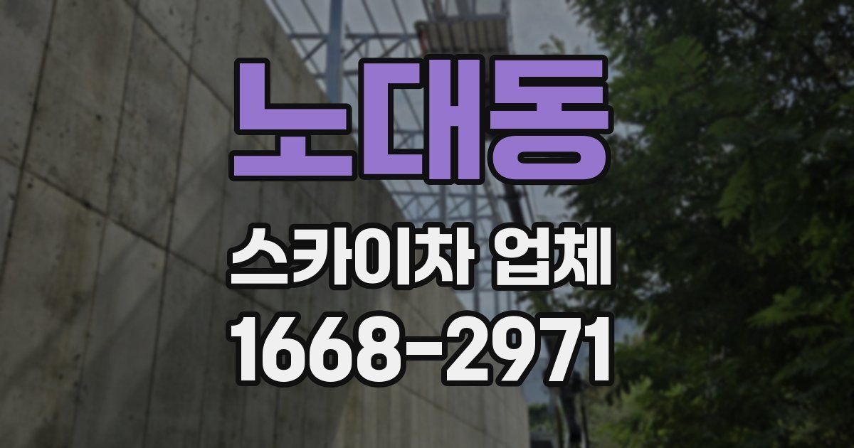 노대동 스카이차 업체