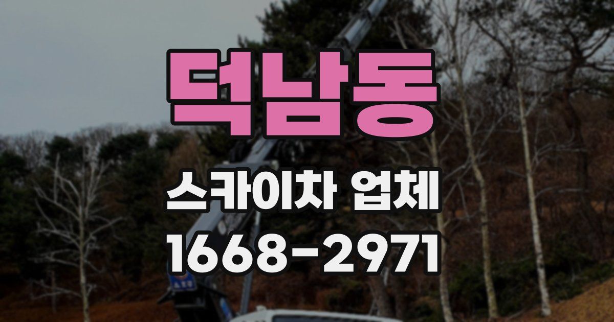 덕남동 스카이차 업체