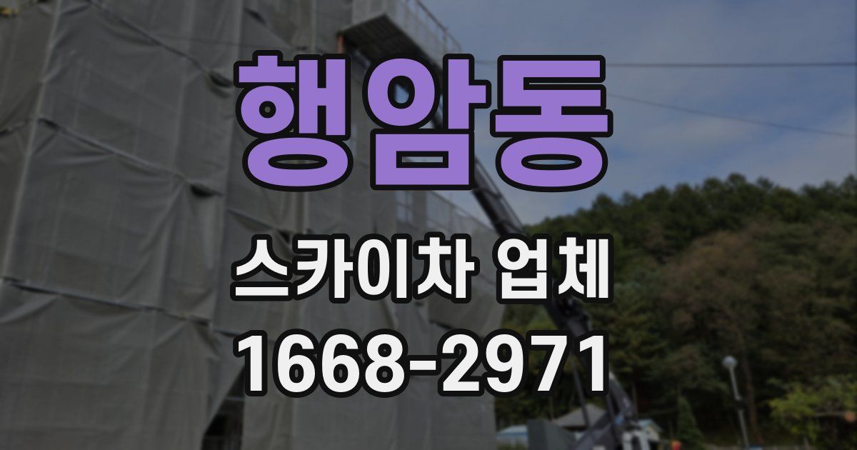 행암동 스카이차 업체
