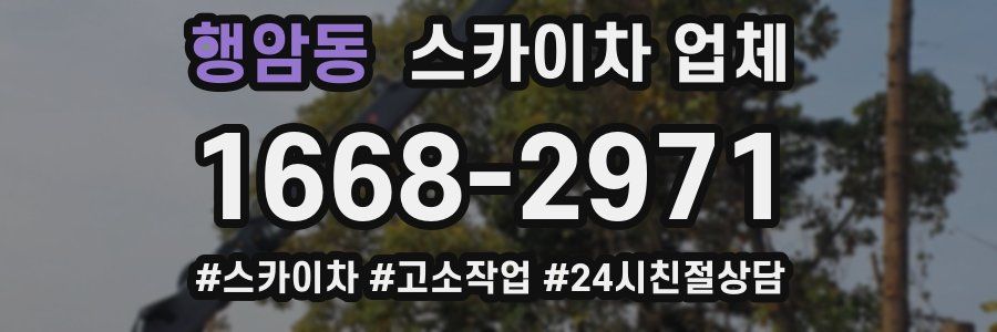 행암동 스카이차 업체