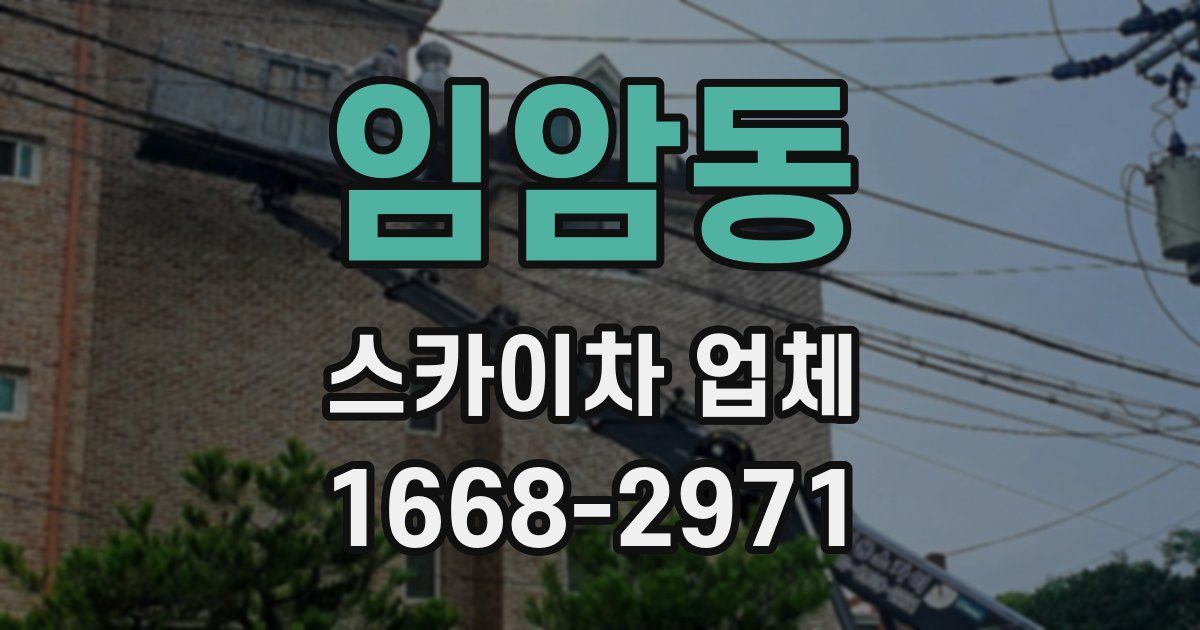 임암동 스카이차 업체