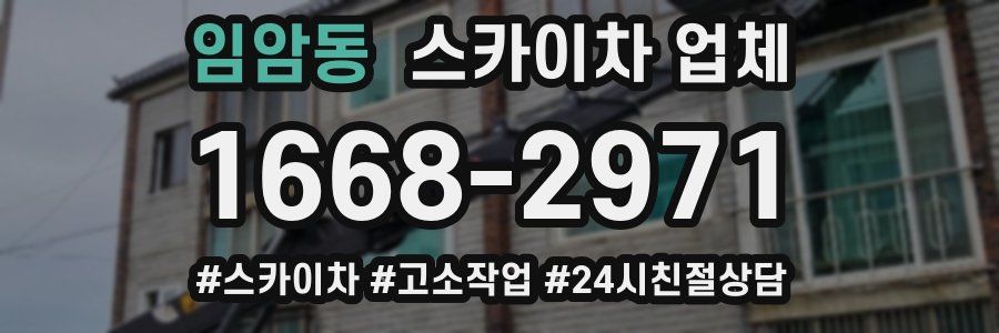 임암동 스카이차 업체