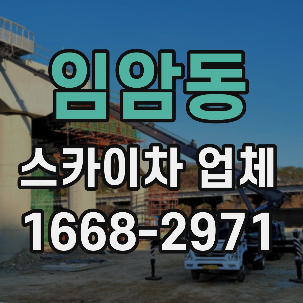 임암동 스카이차 업체