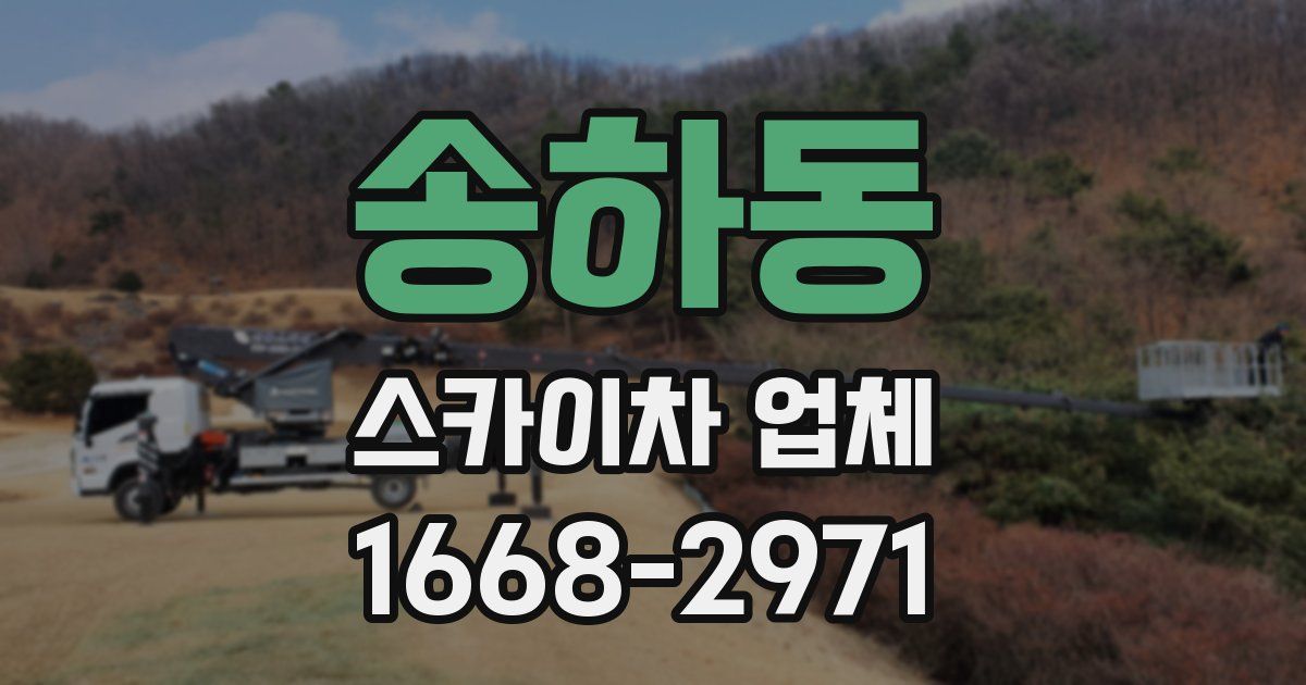 송하동 스카이차 업체