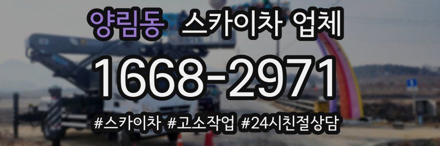 양림동 스카이차 업체