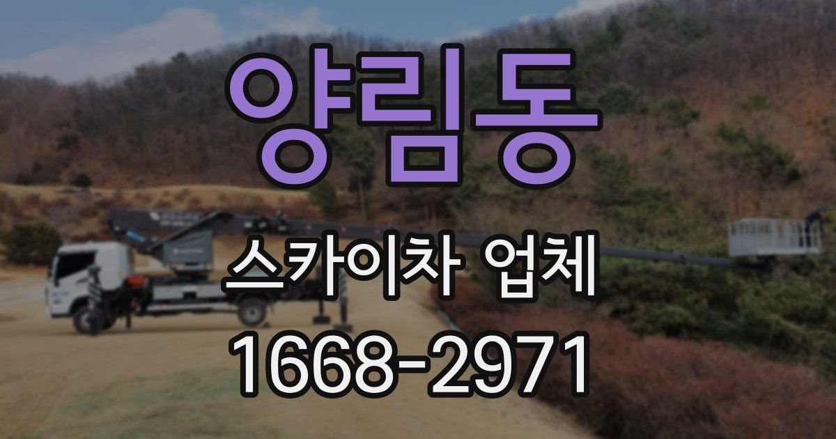 양림동 스카이차 업체