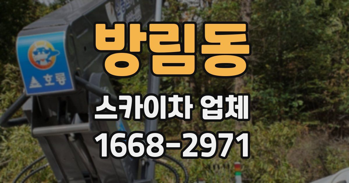 방림동 스카이차 업체