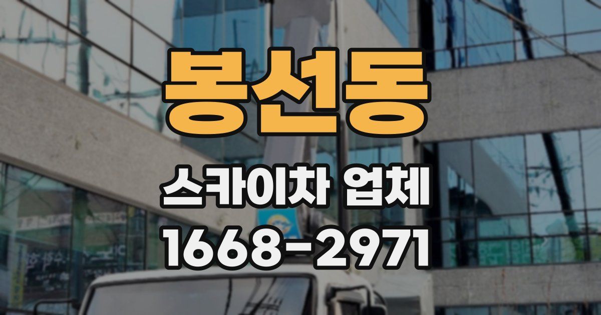 봉선동 스카이차 업체