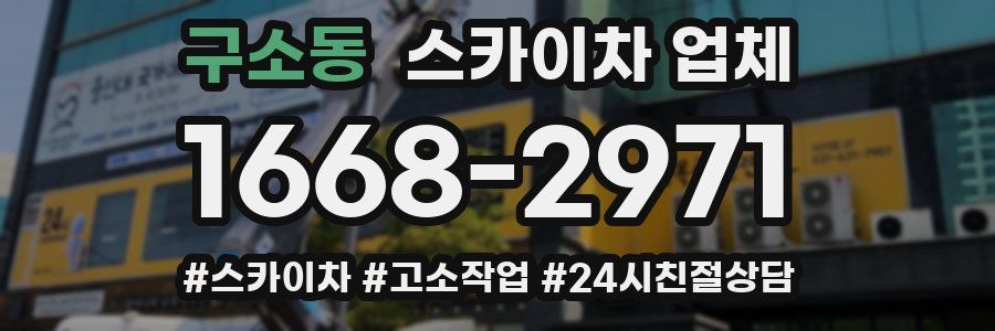 구소동 스카이차 업체