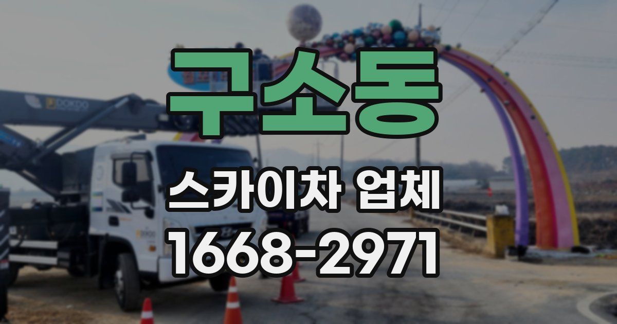 구소동 스카이차 업체