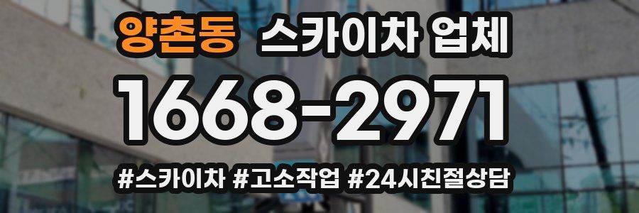 양촌동 스카이차 업체