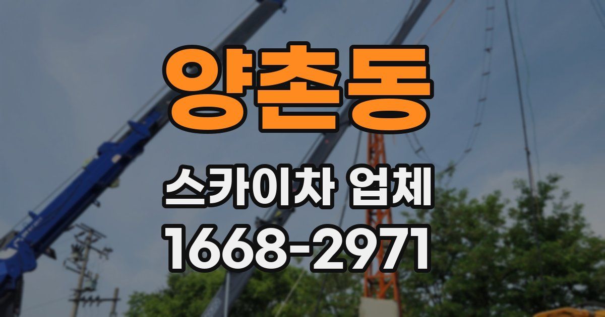 양촌동 스카이차 업체