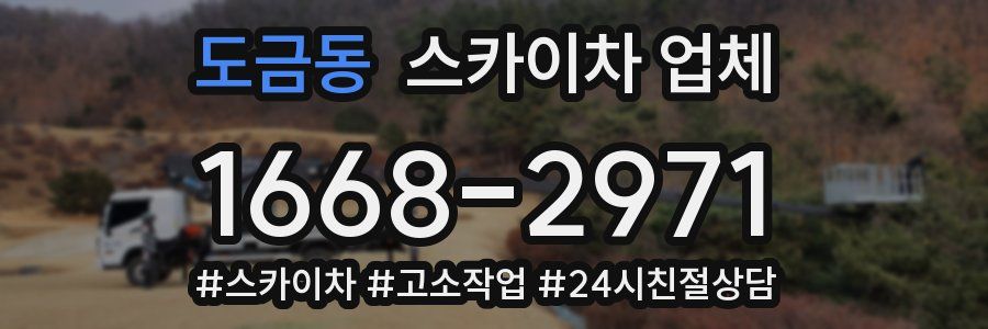 도금동 스카이차 업체
