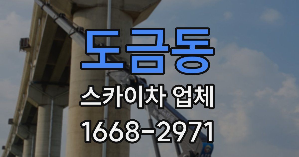 도금동 스카이차 업체