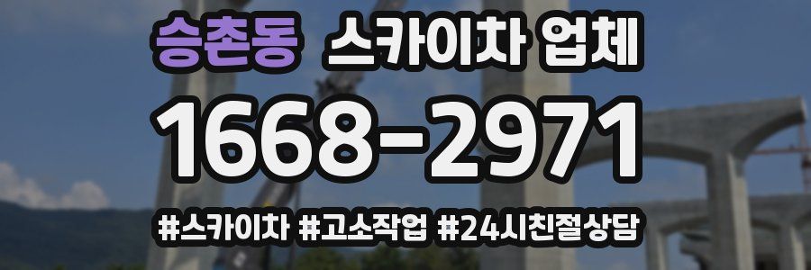 승촌동 스카이차 업체