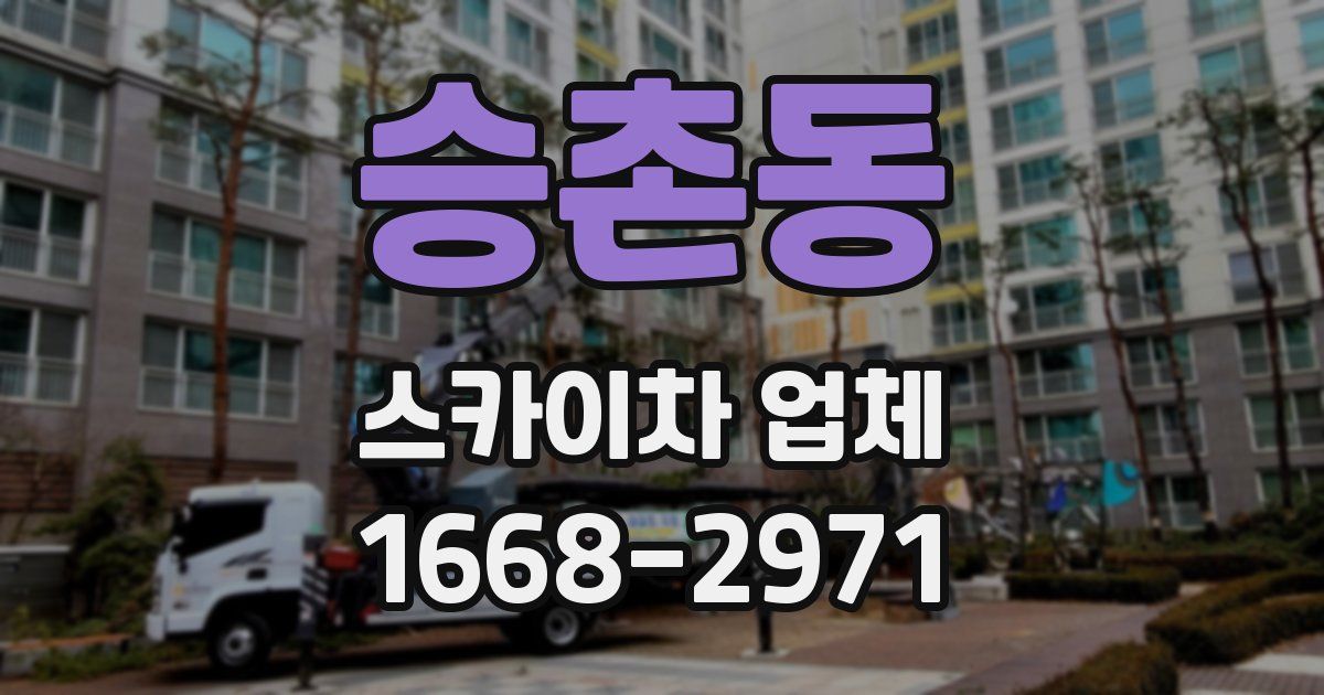 승촌동 스카이차 업체