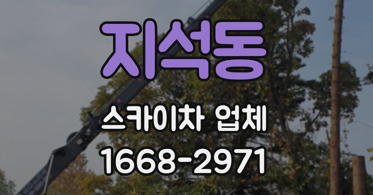 지석동 스카이차 업체