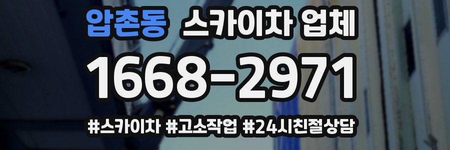 압촌동 스카이차 업체