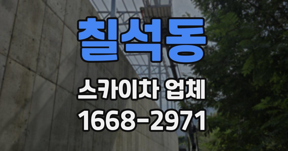 칠석동 스카이차 업체