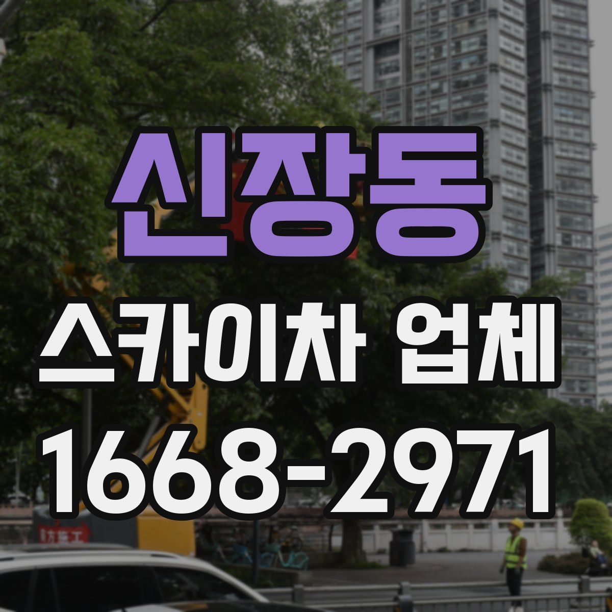 신장동 스카이차 업체