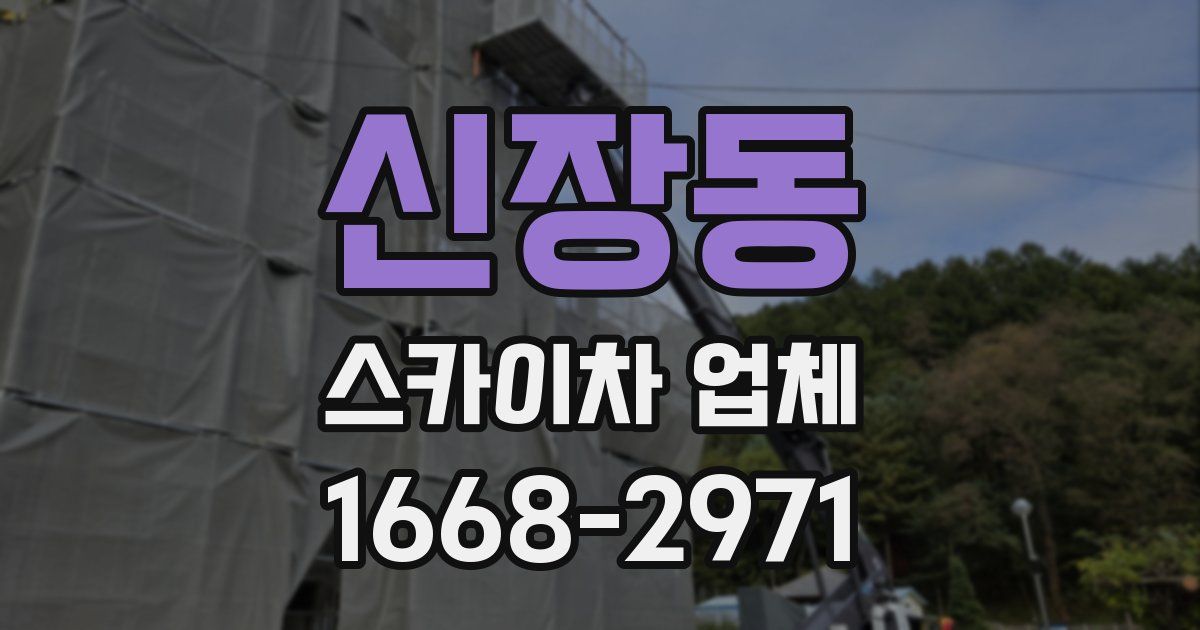 신장동 스카이차 업체