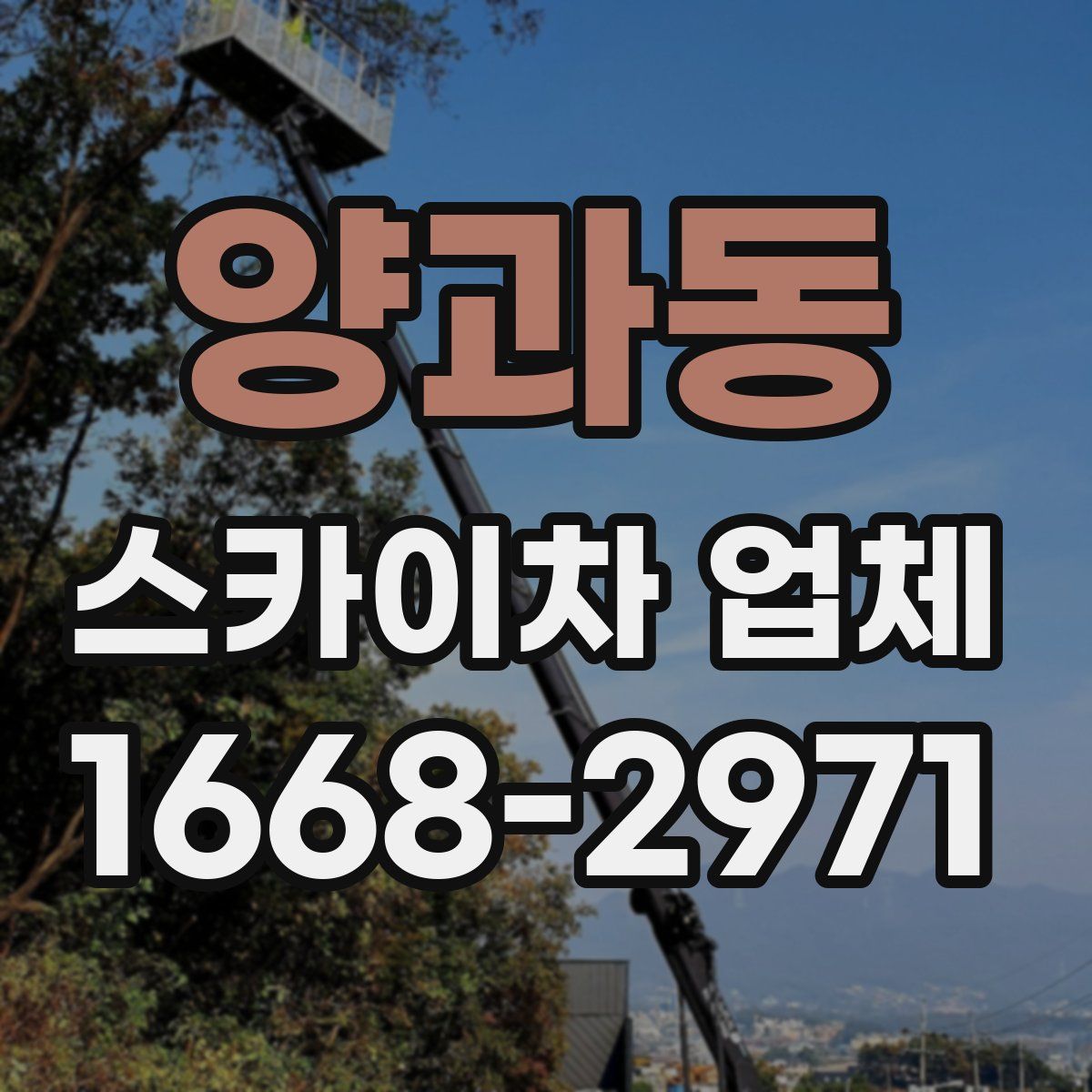 양과동 스카이차 업체
