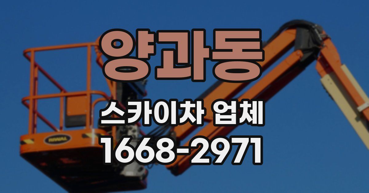 양과동 스카이차 업체