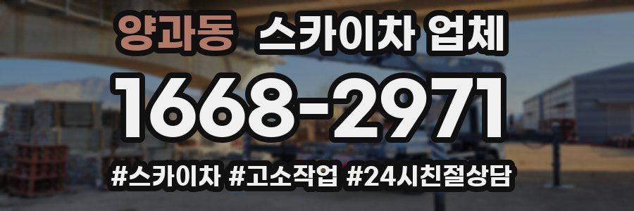 양과동 스카이차 업체