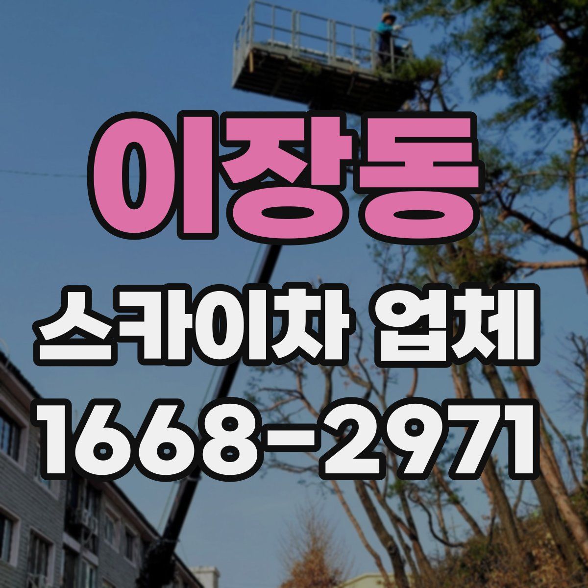 이장동 스카이차 업체