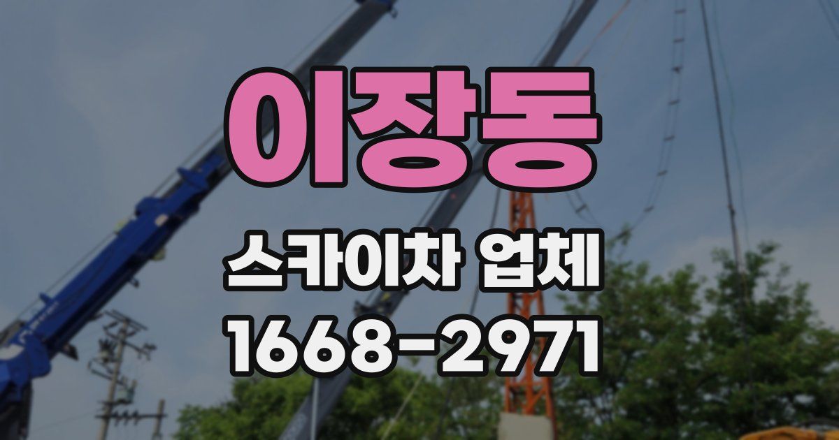 이장동 스카이차 업체