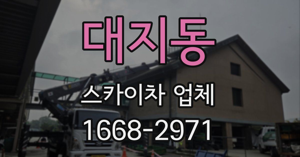 대지동 스카이차 업체