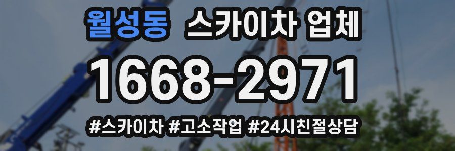 월성동 스카이차 업체