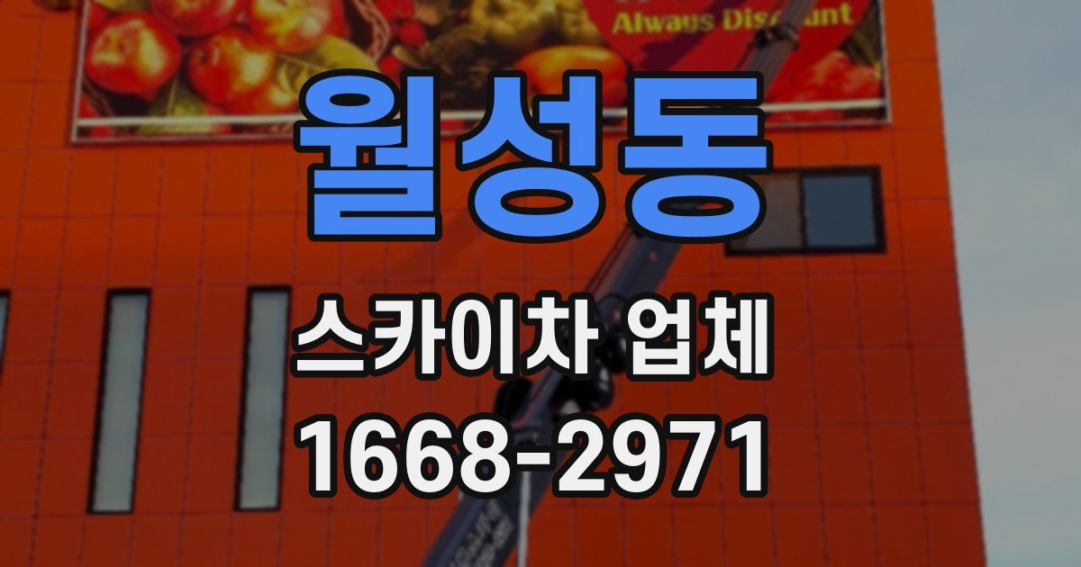 월성동 스카이차 업체