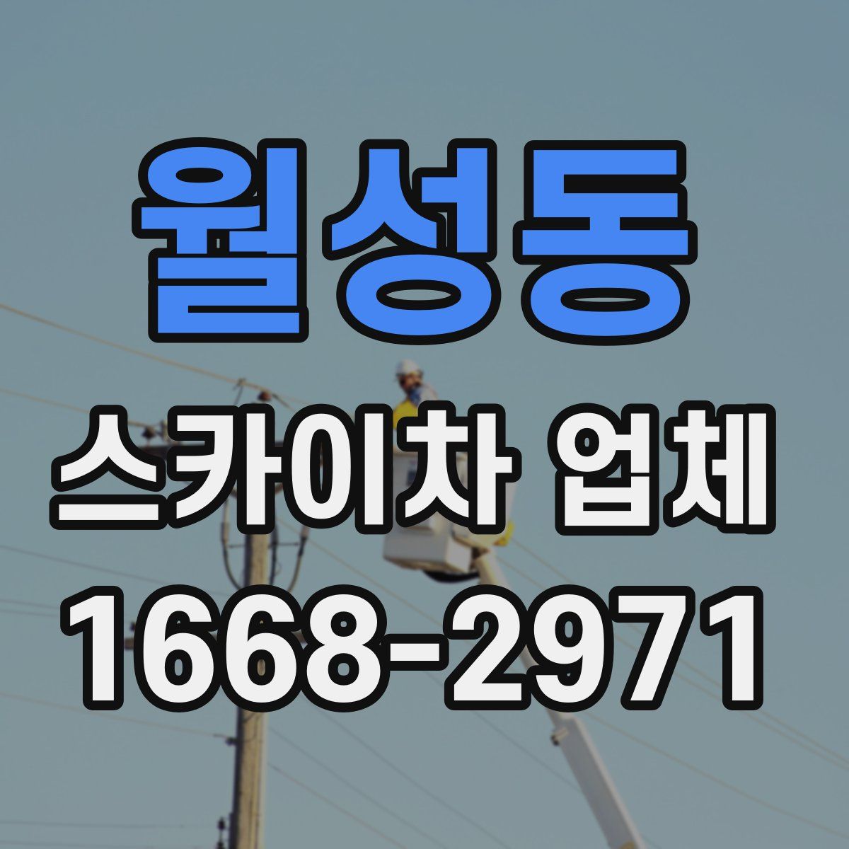 월성동 스카이차 업체