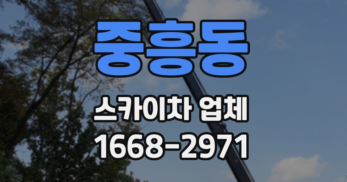 중흥동 스카이차 업체