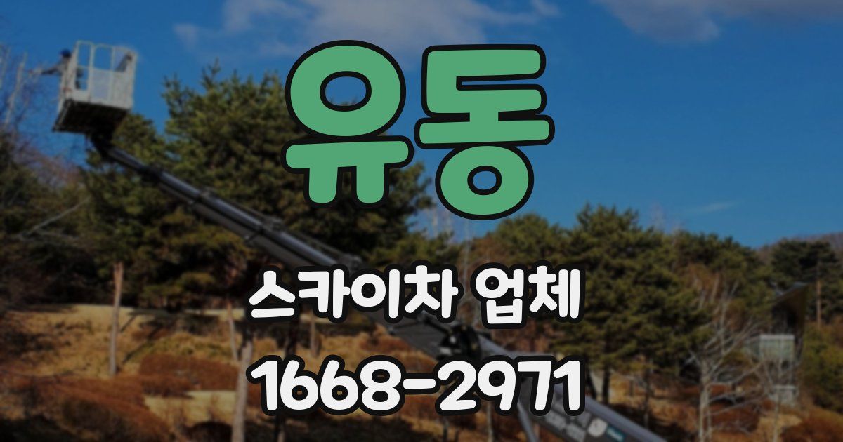 유동 스카이차 업체