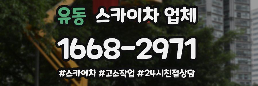 유동 스카이차 업체