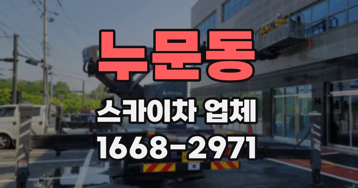 누문동 스카이차 업체