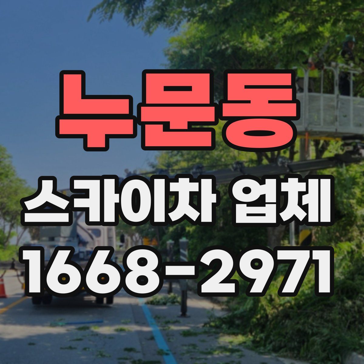 누문동 스카이차 업체