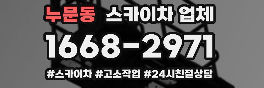 누문동 스카이차 업체