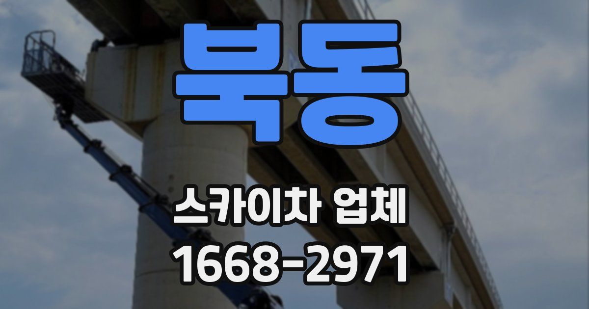 북동 스카이차 업체