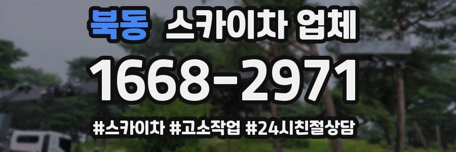 북동 스카이차 업체