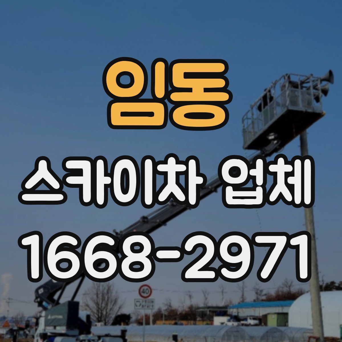 임동 스카이차 업체