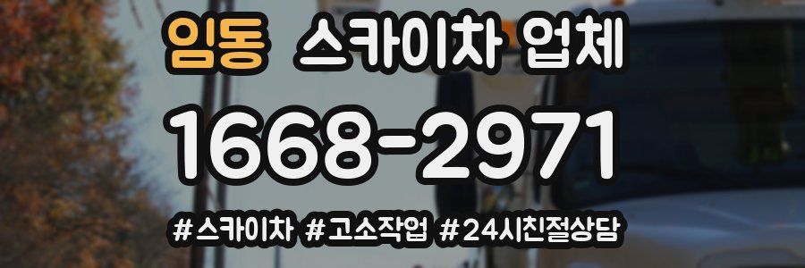 임동 스카이차 업체