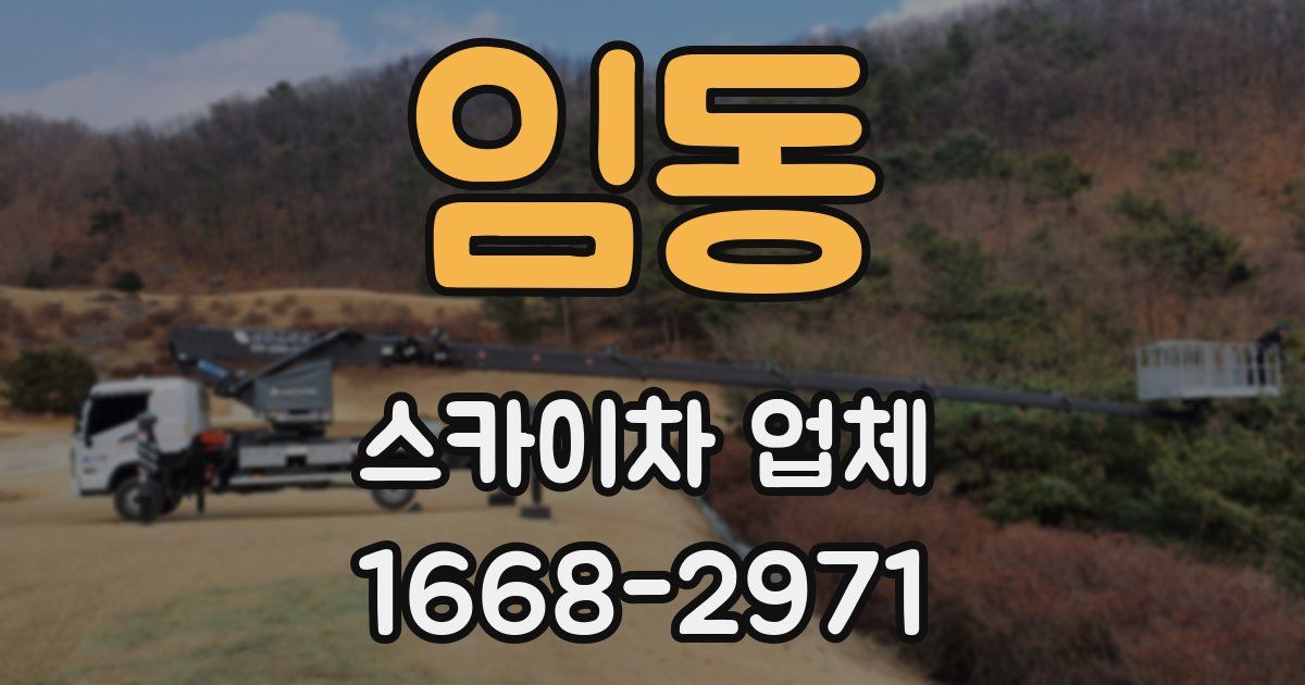 임동 스카이차 업체