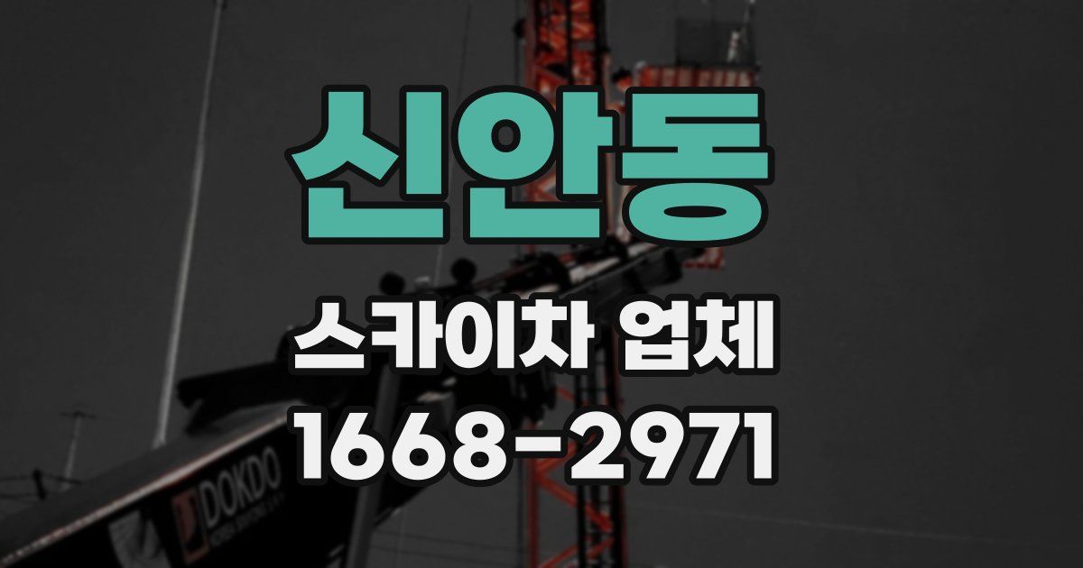신안동 스카이차 업체