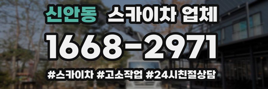 신안동 스카이차 업체
